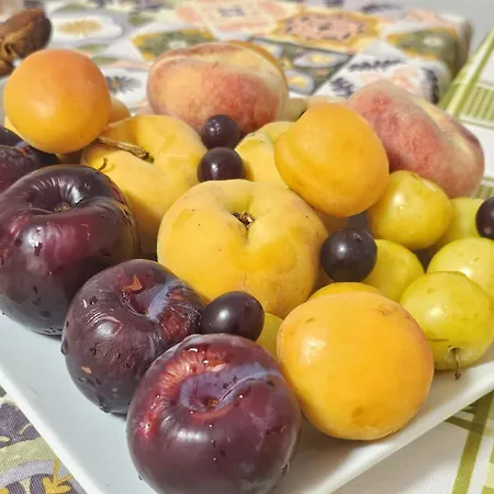 L'oasi Del Raganello * 奇维塔