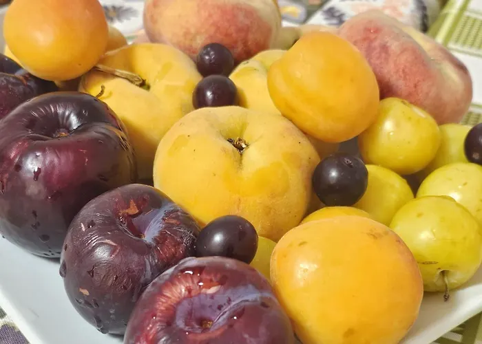 L'oasi Del Raganello * צ'יוויטה